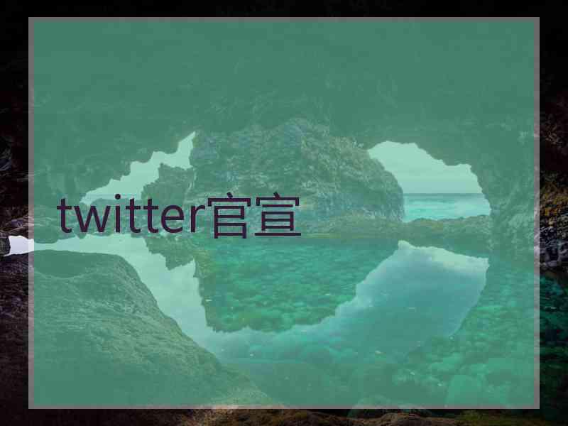 twitter官宣