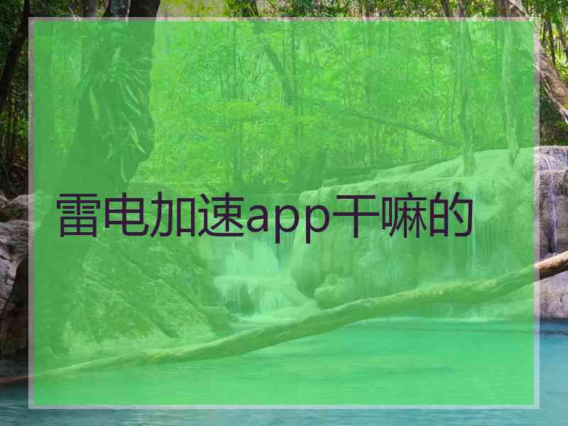 雷电加速app干嘛的