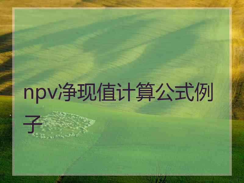 npv净现值计算公式例子