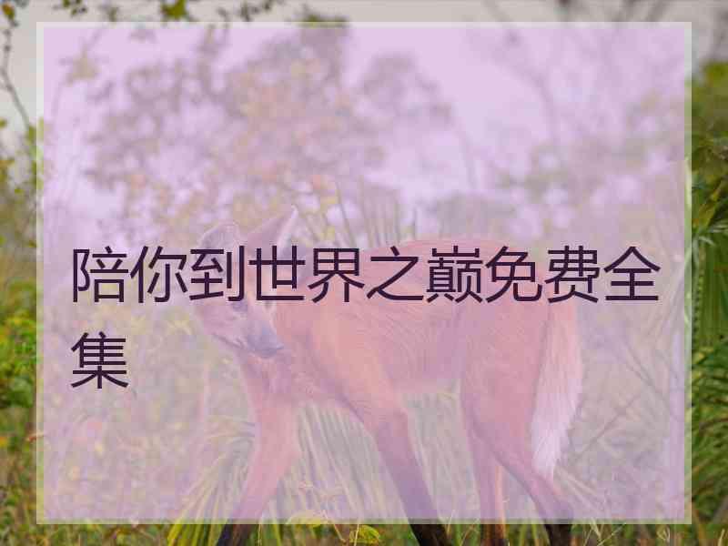 陪你到世界之巅免费全集