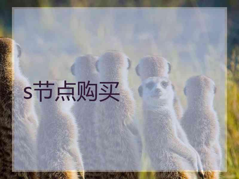s节点购买