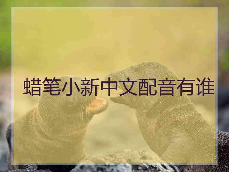 蜡笔小新中文配音有谁
