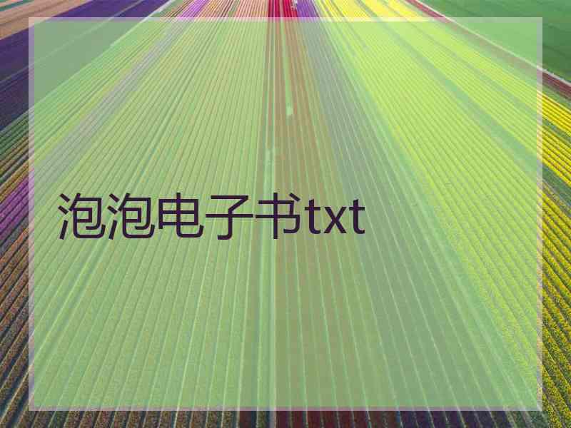 泡泡电子书txt