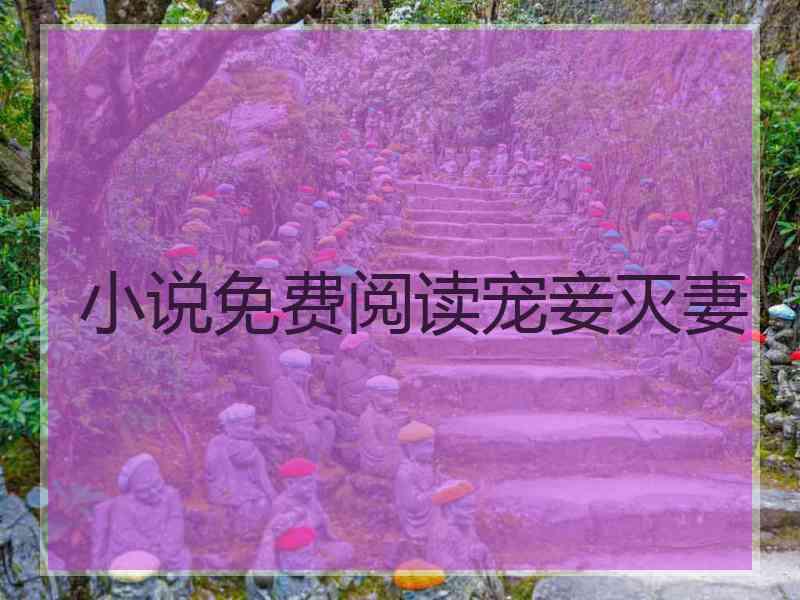 小说免费阅读宠妾灭妻