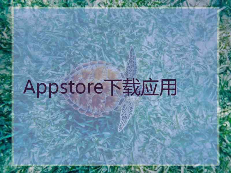 Appstore下载应用
