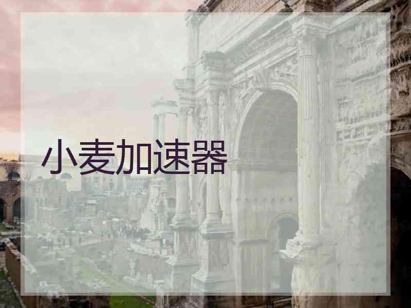 小麦加速器
