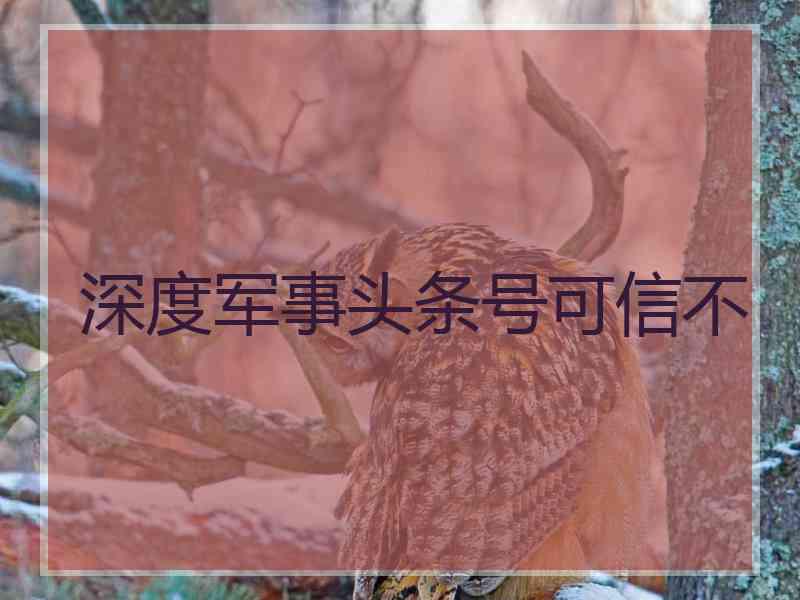 深度军事头条号可信不