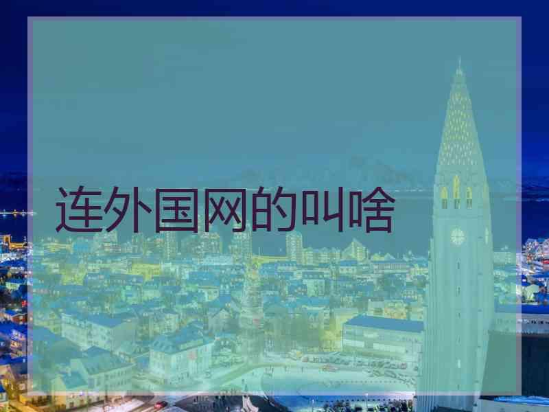 连外国网的叫啥