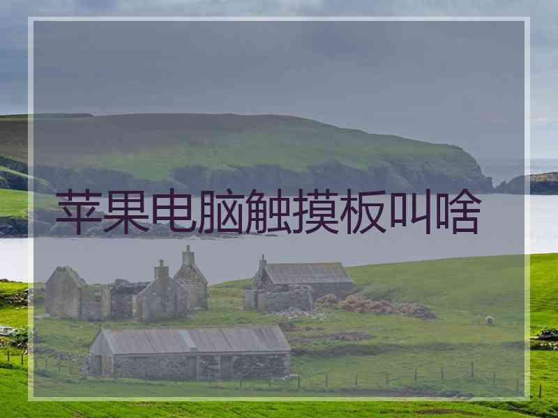苹果电脑触摸板叫啥