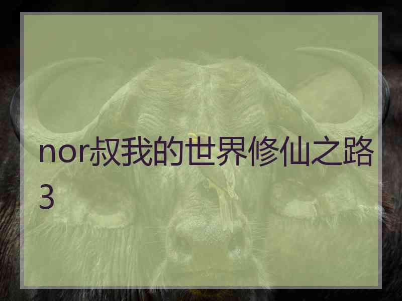 nor叔我的世界修仙之路3