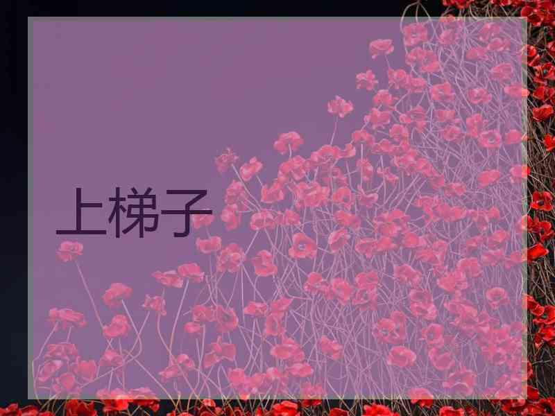 上梯子