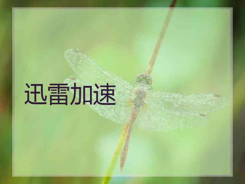 迅雷加速