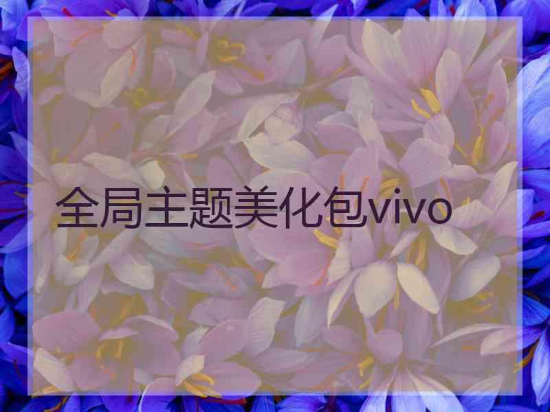 全局主题美化包vivo