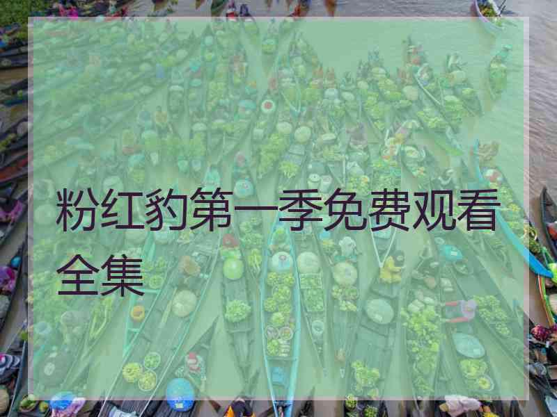粉红豹第一季免费观看全集