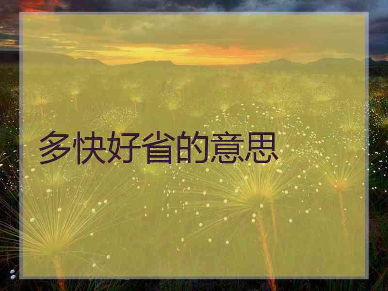 多快好省的意思