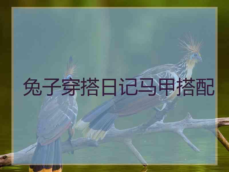 兔子穿搭日记马甲搭配