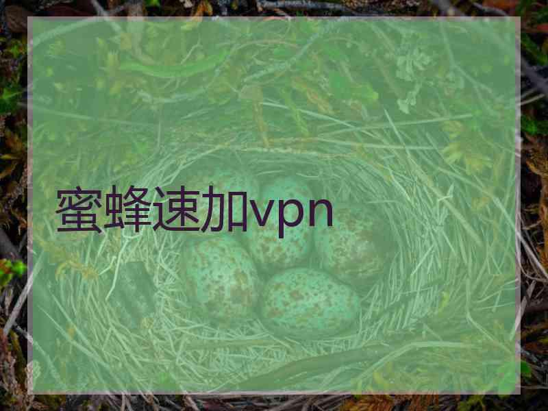 蜜蜂速加vpn