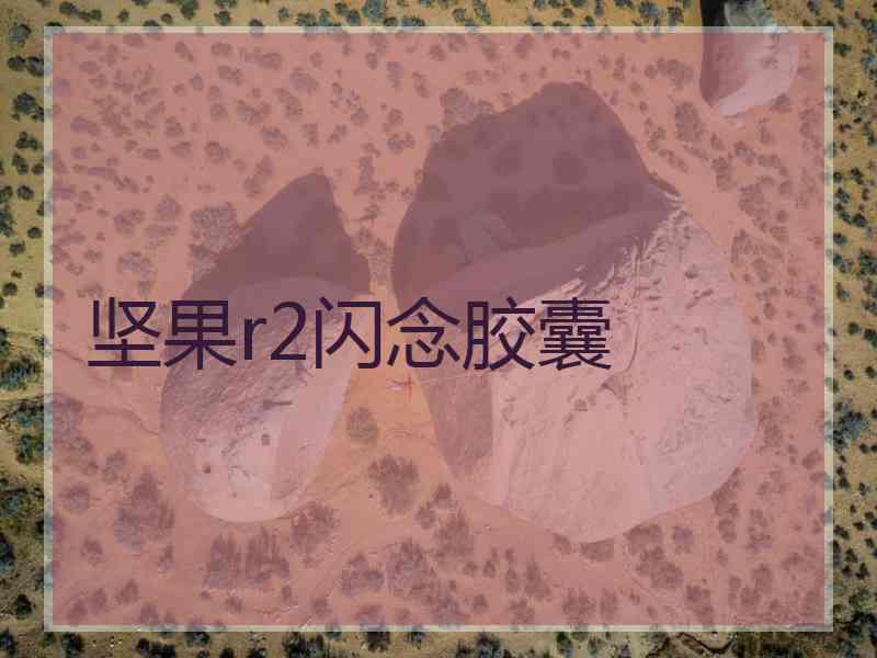 坚果r2闪念胶囊