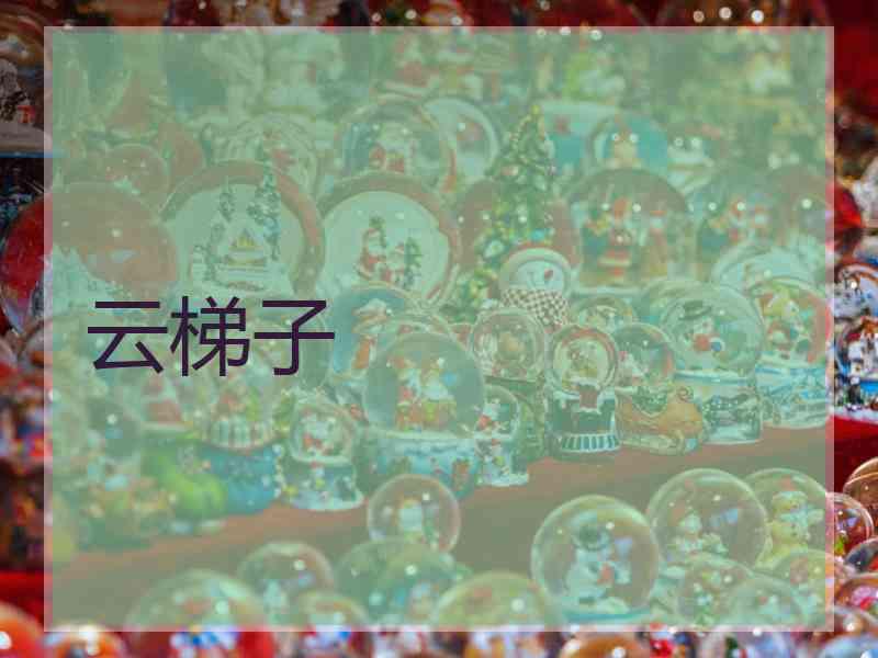 云梯子