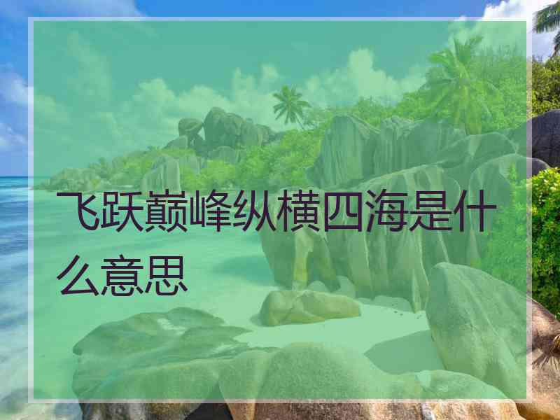 飞跃巅峰纵横四海是什么意思