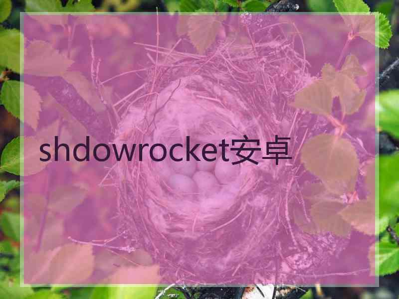 shdowrocket安卓