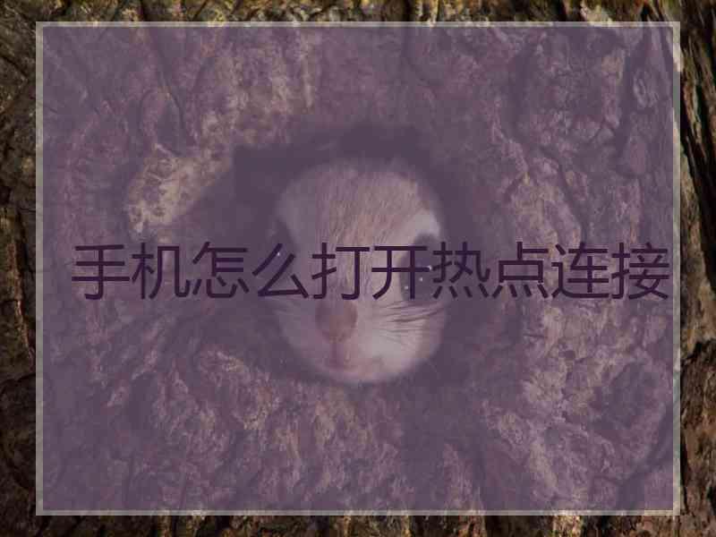 手机怎么打开热点连接