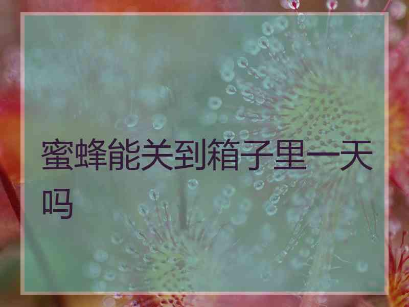 蜜蜂能关到箱子里一天吗