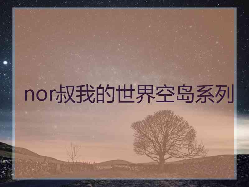 nor叔我的世界空岛系列
