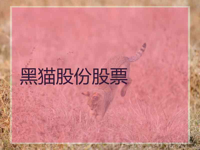 黑猫股份股票