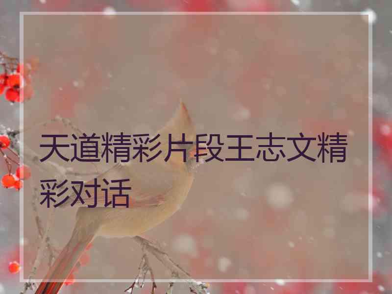 天道精彩片段王志文精彩对话