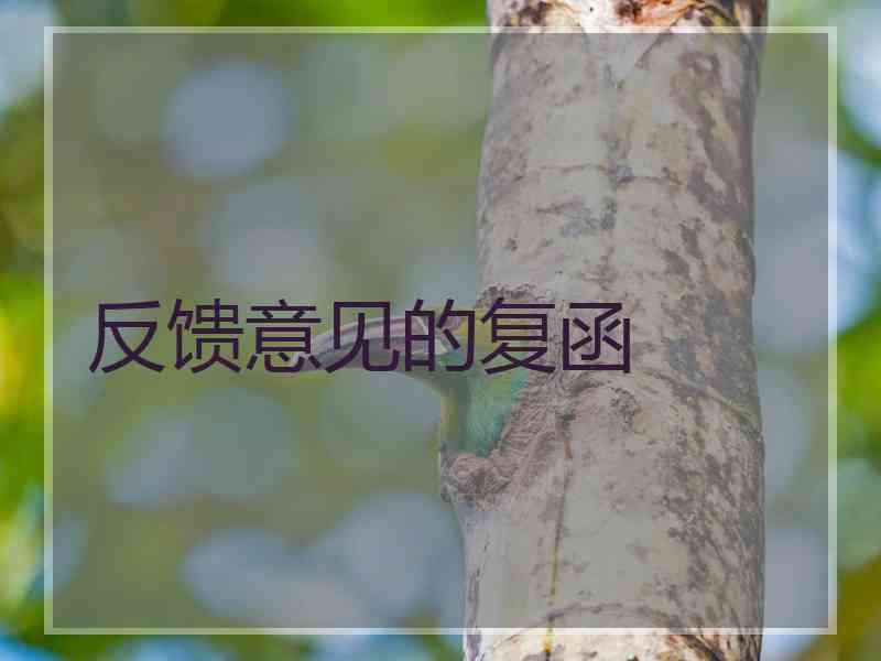 反馈意见的复函