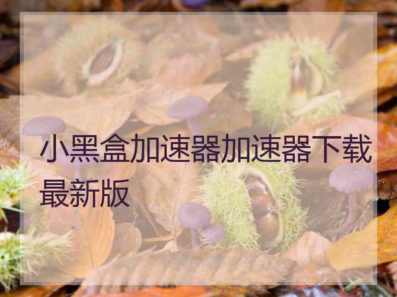 小黑盒加速器加速器下载最新版
