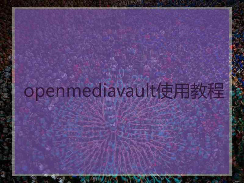 openmediavault使用教程