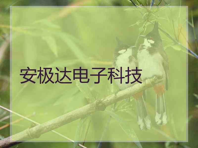 安极达电子科技