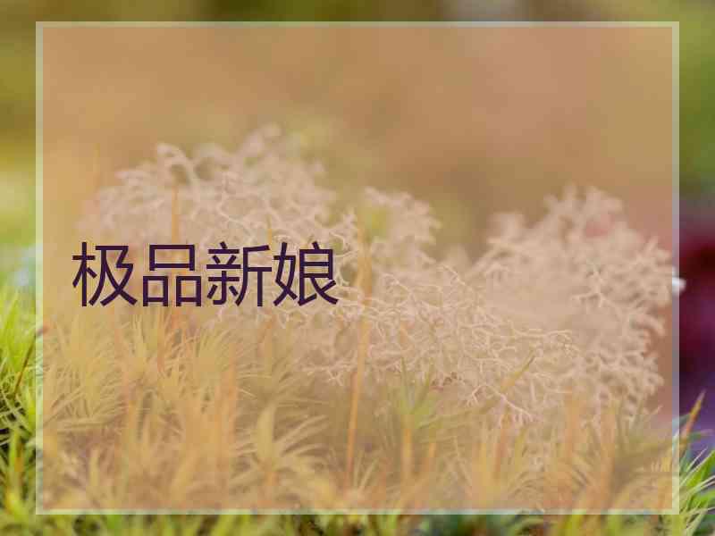 极品新娘