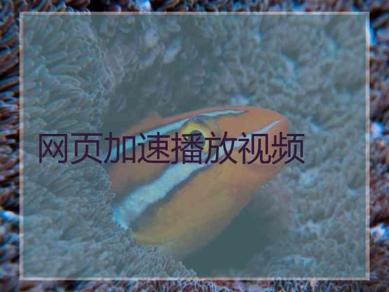 网页加速播放视频