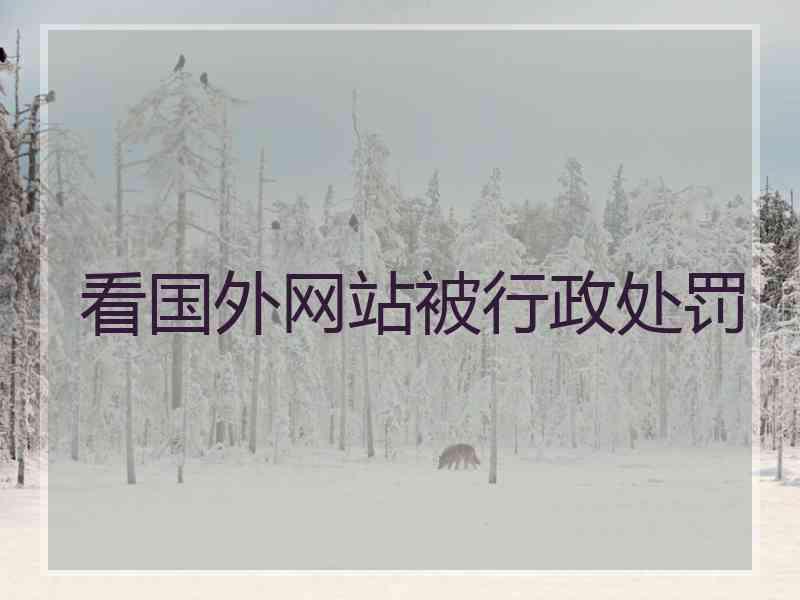 看国外网站被行政处罚