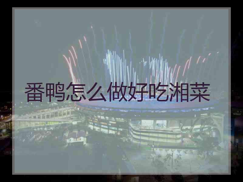 番鸭怎么做好吃湘菜