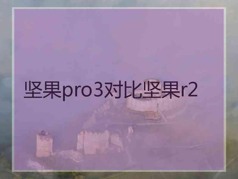 坚果pro3对比坚果r2