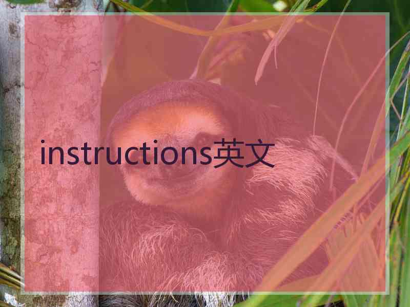 instructions英文