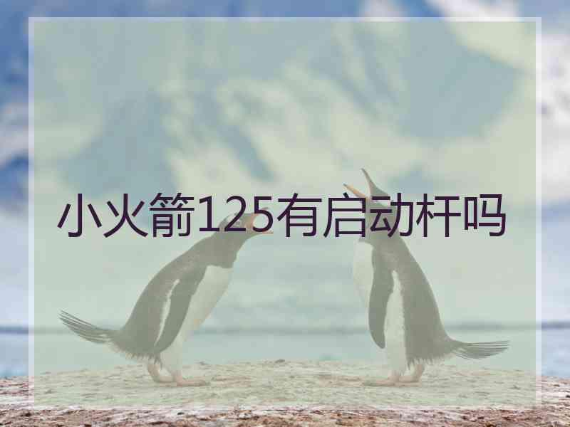小火箭125有启动杆吗