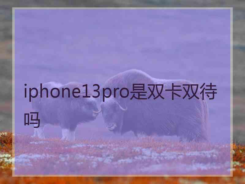 iphone13pro是双卡双待吗