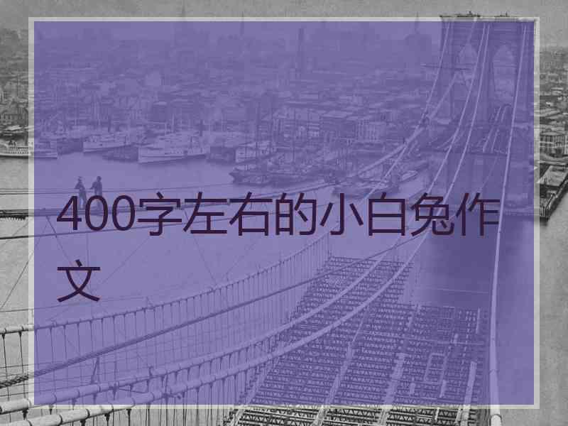 400字左右的小白兔作文