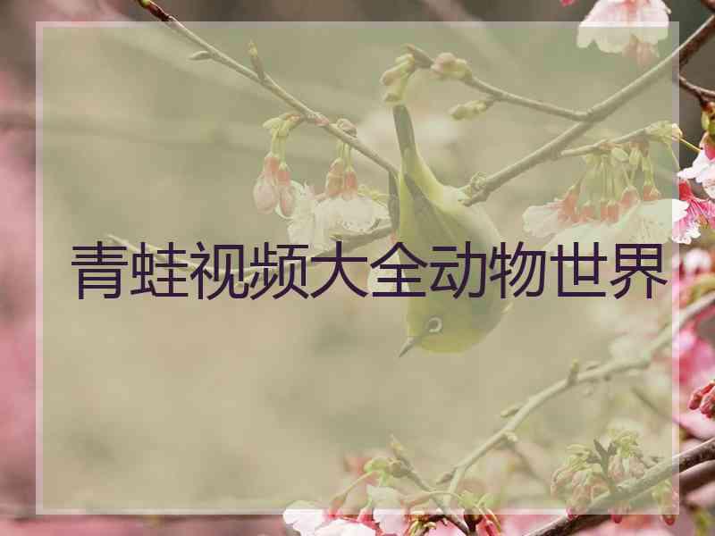 青蛙视频大全动物世界