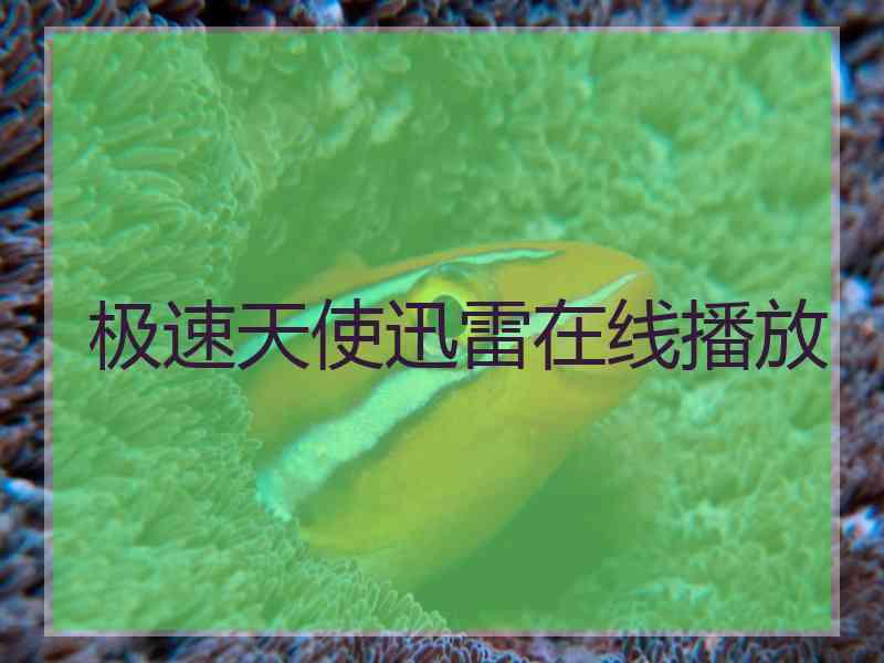 极速天使迅雷在线播放