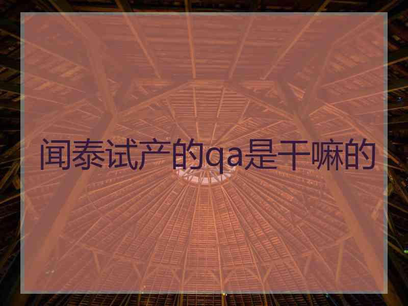 闻泰试产的qa是干嘛的
