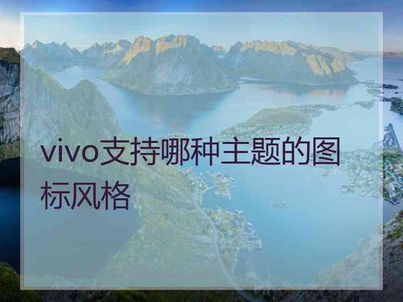 vivo支持哪种主题的图标风格