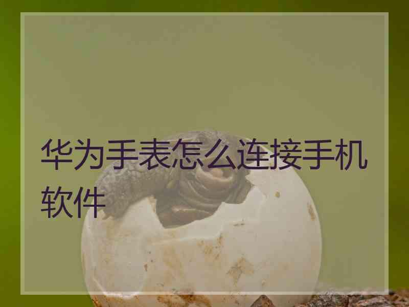 华为手表怎么连接手机软件