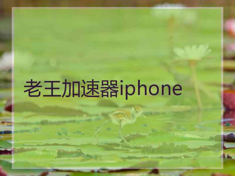 老王加速器iphone