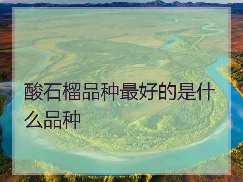 酸石榴品种最好的是什么品种